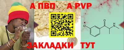 амф Кингисепп