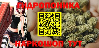 амф Кингисепп