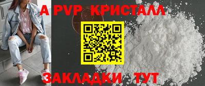амф Кингисепп