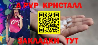 амф Кингисепп