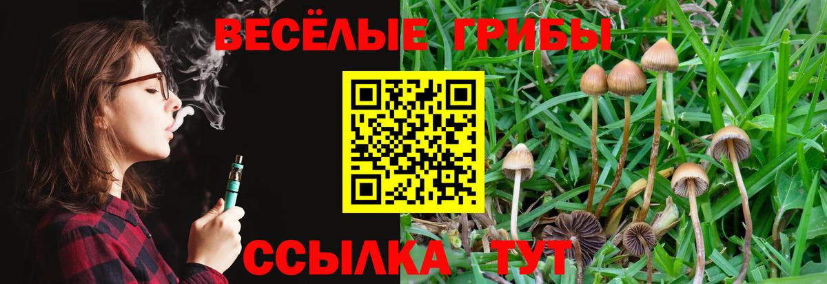 Псилоцибиновые грибы Magic Shrooms  Псилоцибиновые грибы Magic Shrooms  Ликино-Дулёво  Вход с VPN 